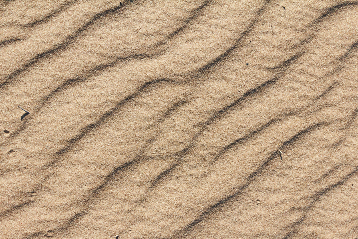 Black Mountain Sand discusses the Dunes Sagebrush Lizard